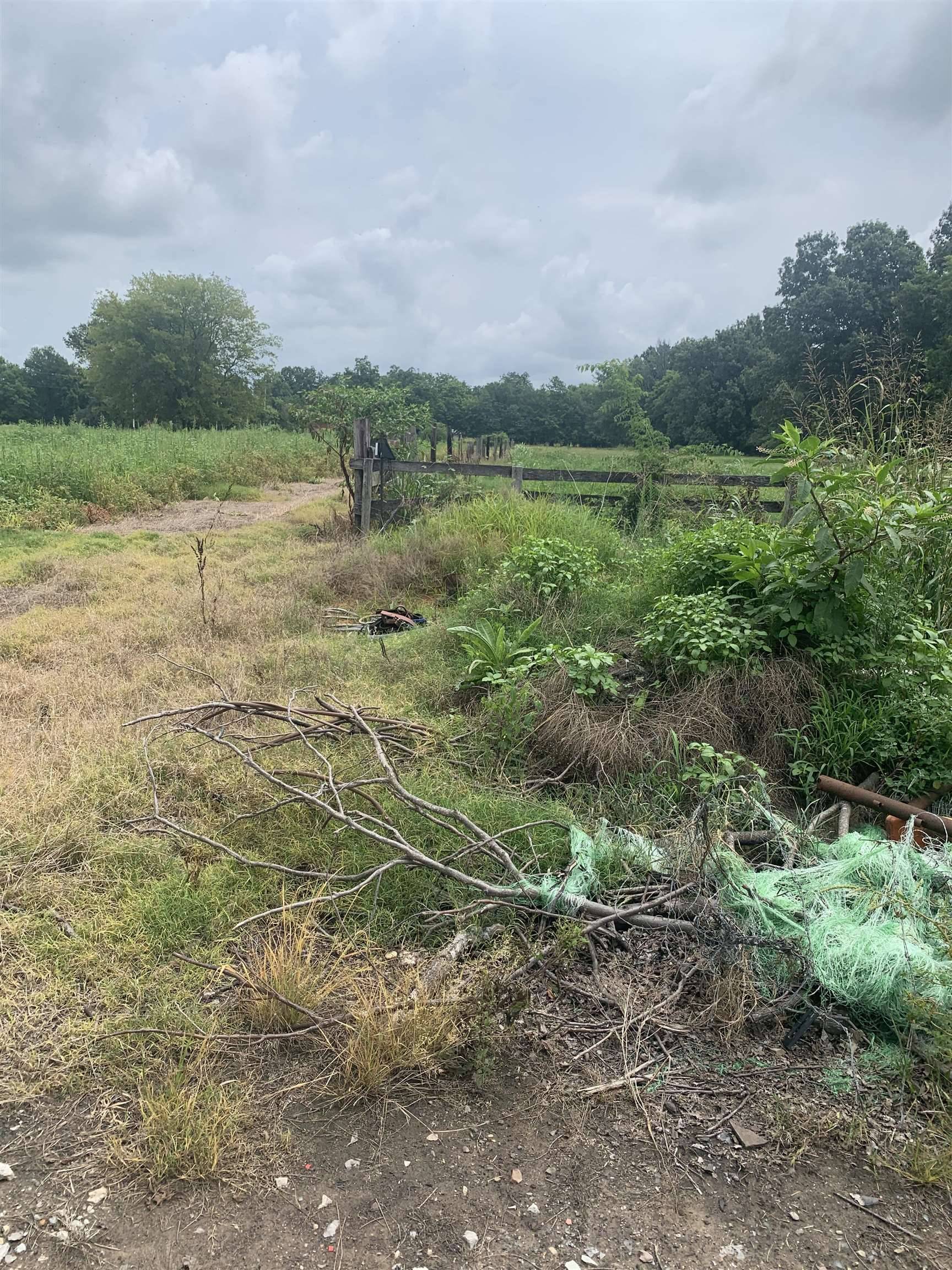 Walnut Ridge, AR 72476,21 Acres W Oak