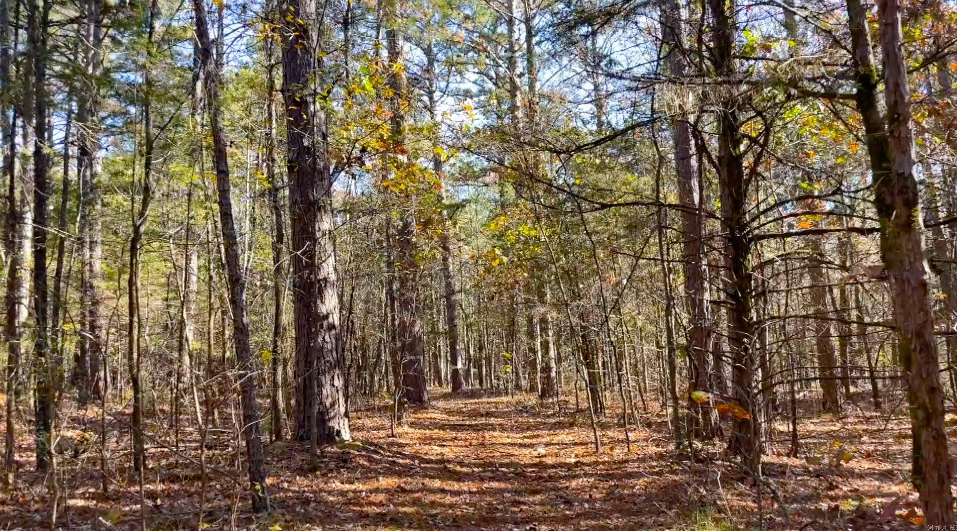 Greers Ferry, AR 72067,Lot 29 Shiloh Landing Pointe