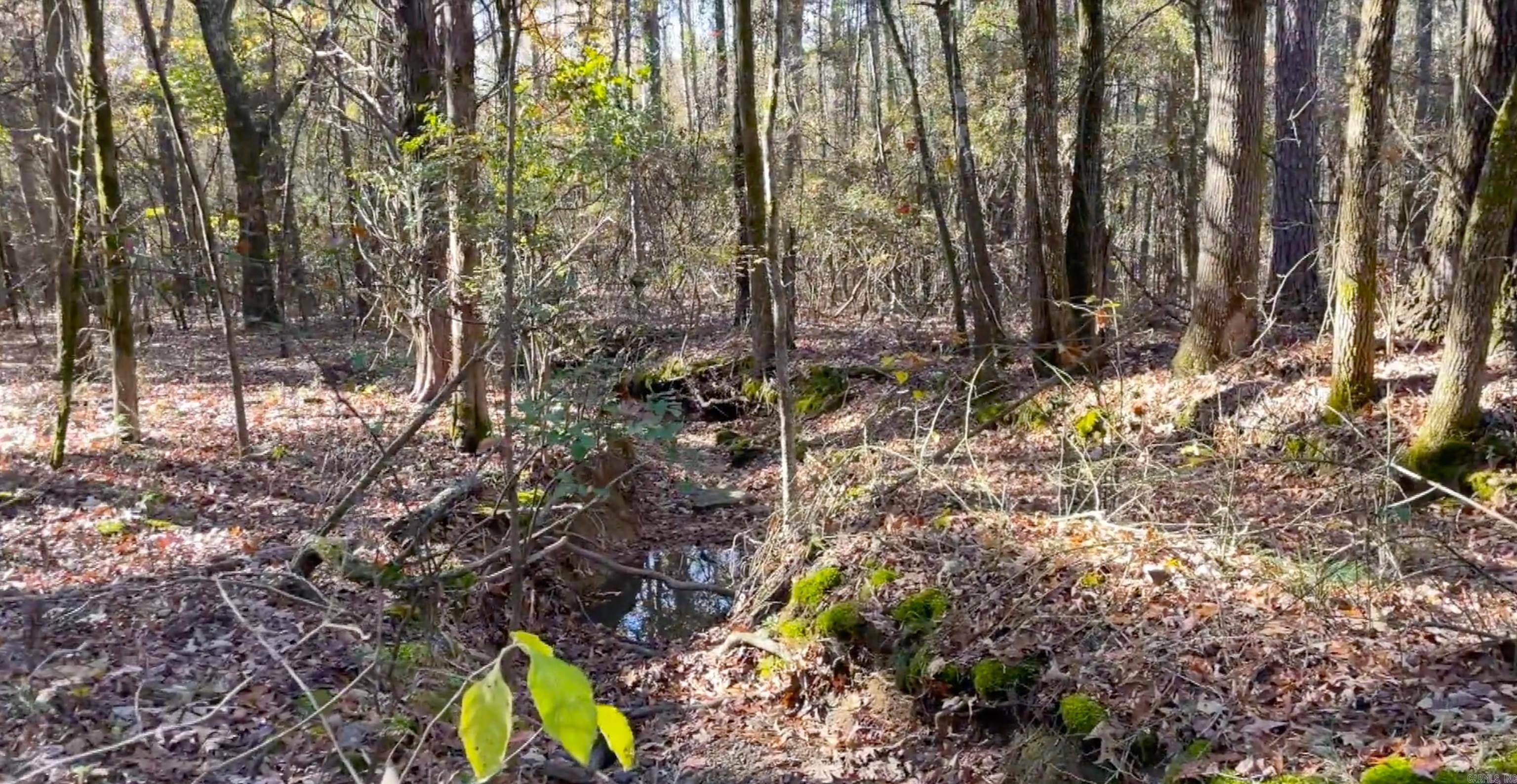 Greers Ferry, AR 72067,Lot 29 Shiloh Landing Pointe