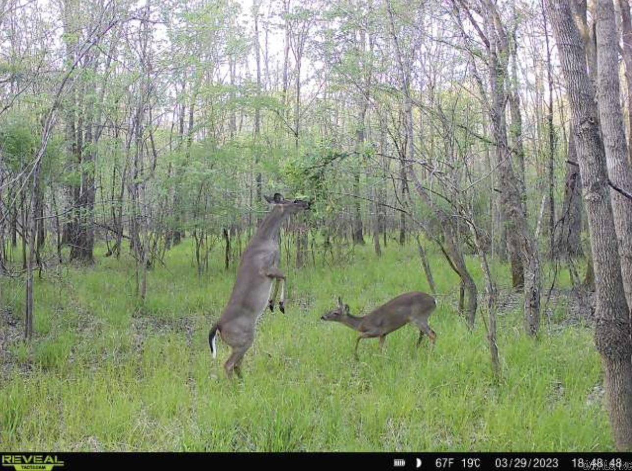 Oak Grove Village, LA 71263,TBD Janesville Rd.