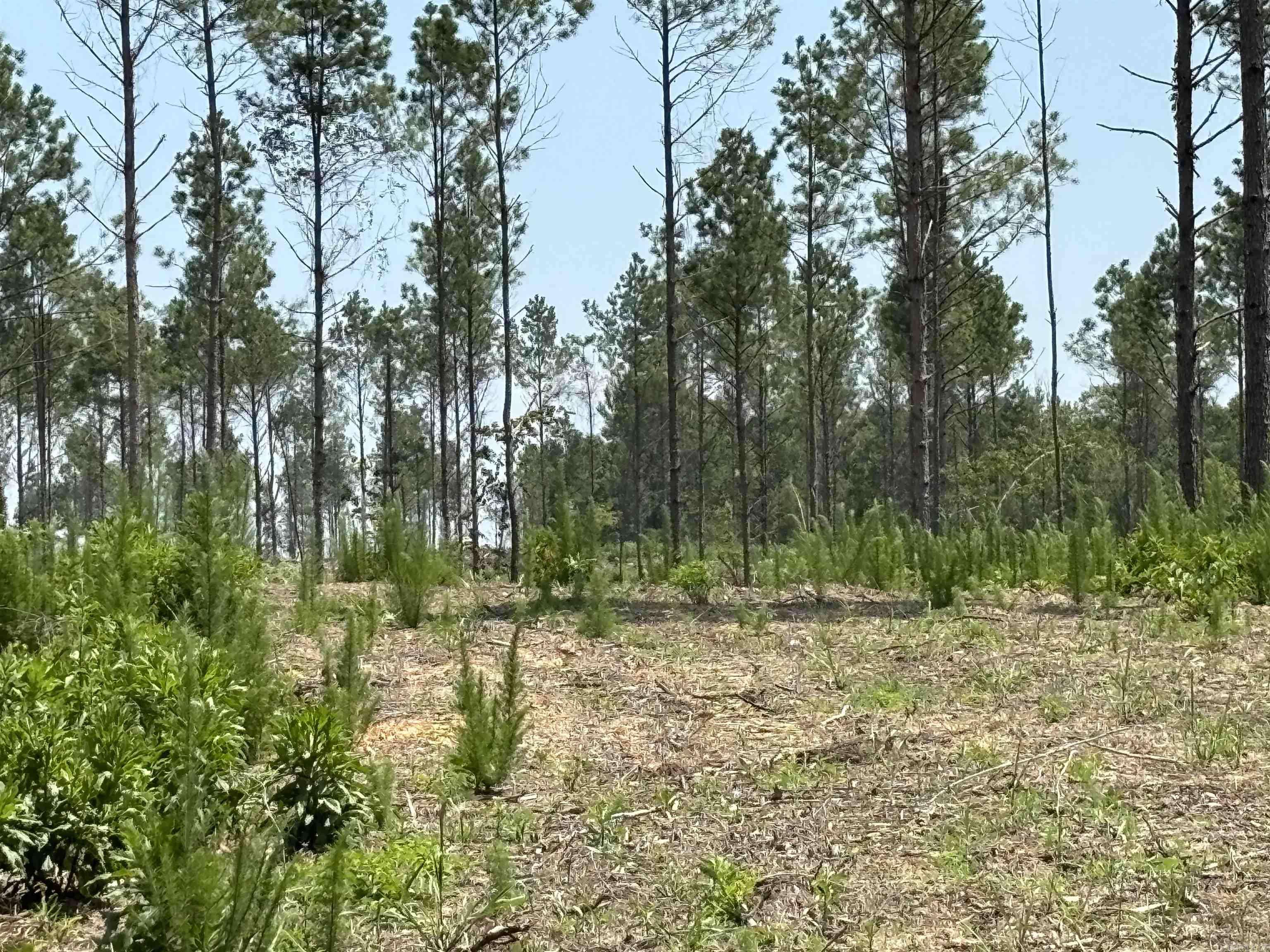 Sheridan, AR 72150,0 Grant 43 (D)