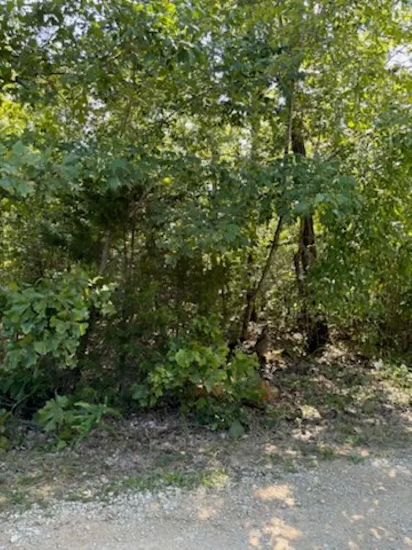 Highland, AR 72542,TBD  FM 101 Rd Roads