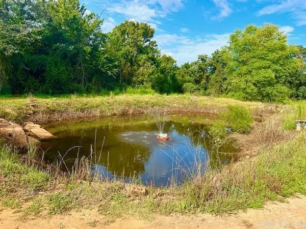 Big Flat, AR 72617,11099 14 Highway