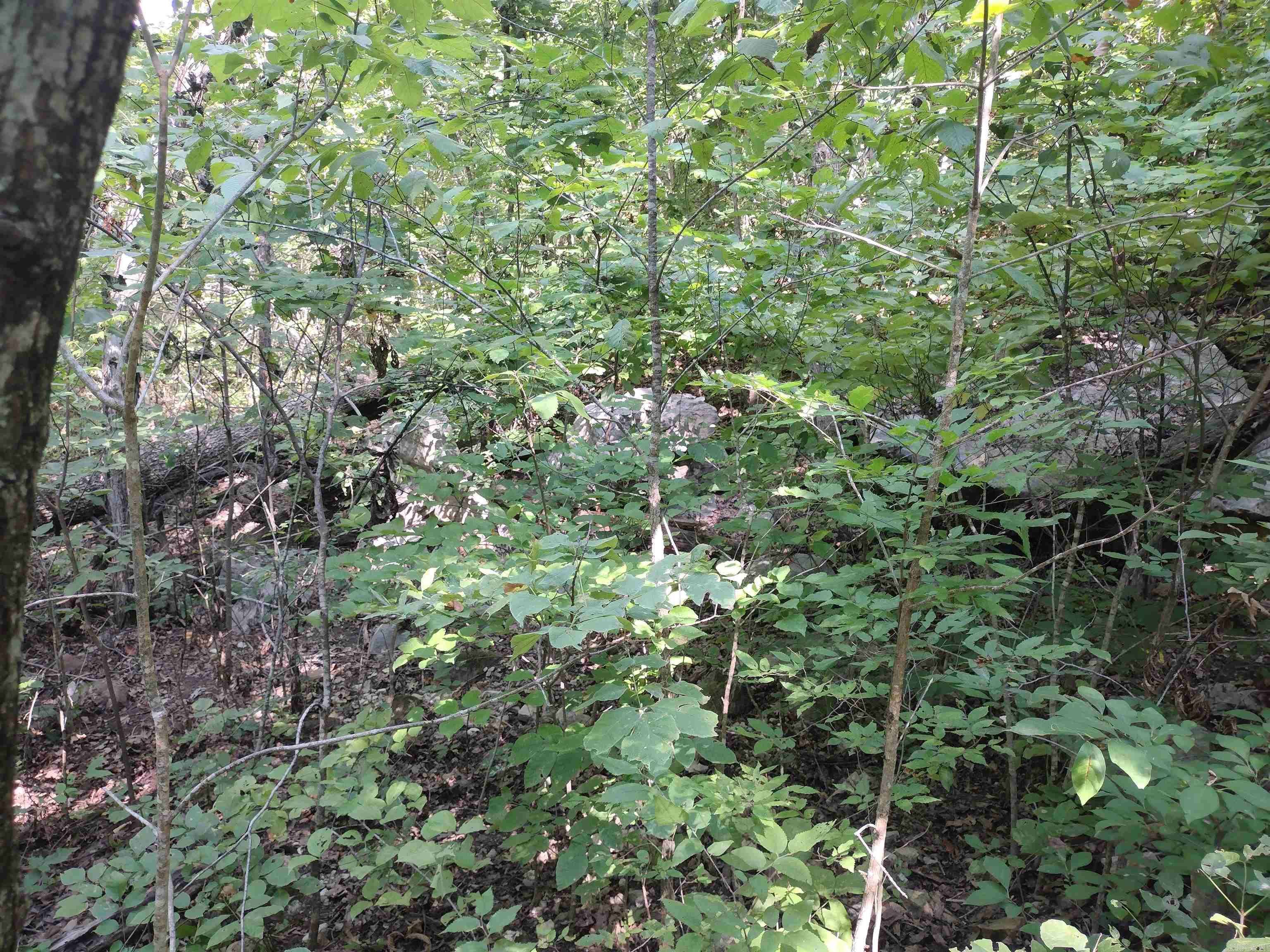 Leslie, AR 72645,0 Liberty RD