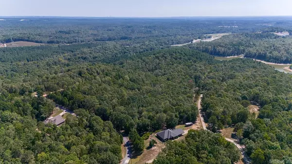 Alexander, AR 72002,19100 Springway Dr