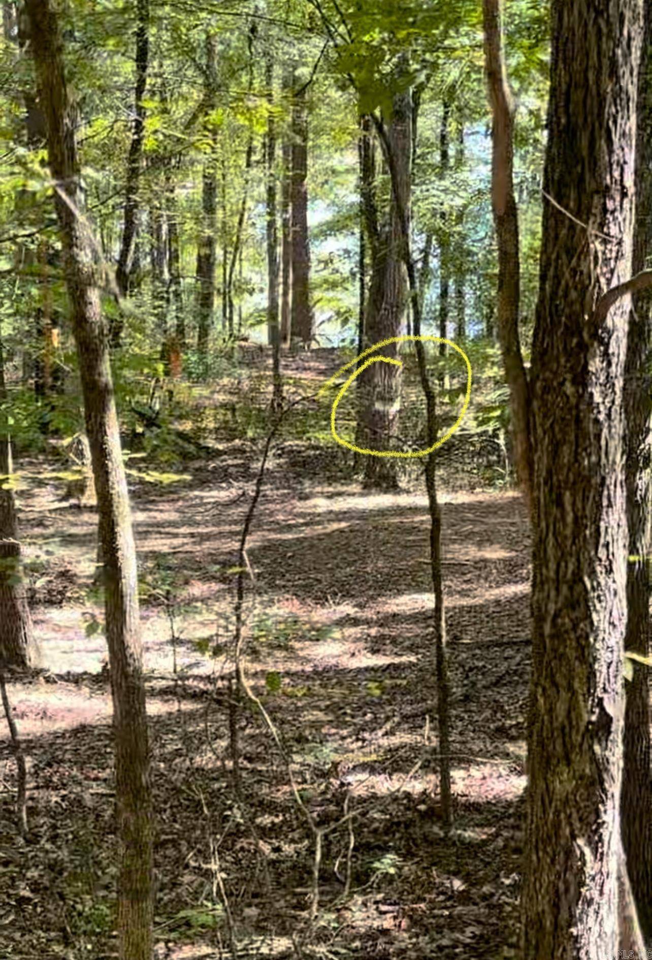 Drasco, AR 72530,Lot 32 East Shore Dr.