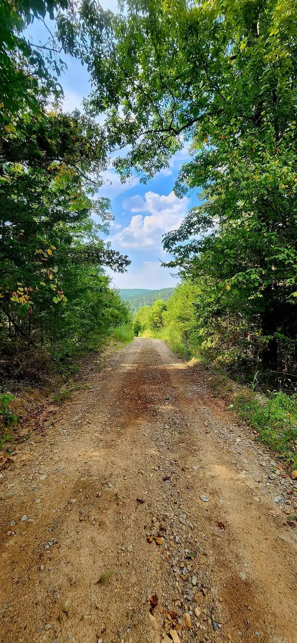Mountain View, AR 72560,S 9 Highway