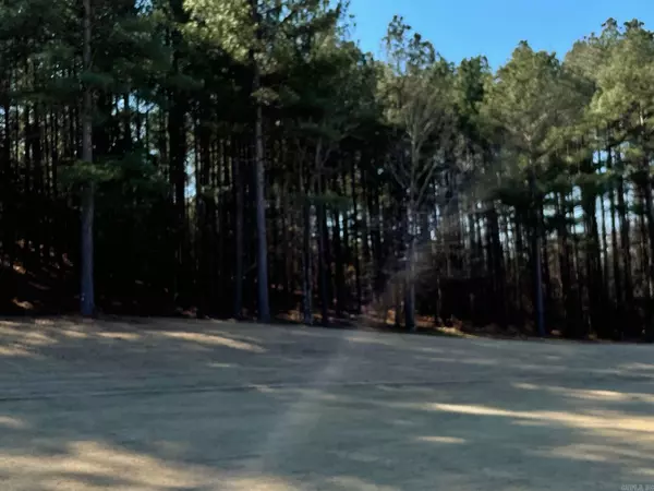 Hot Springs Village, AR 71909,8 Temerario Place