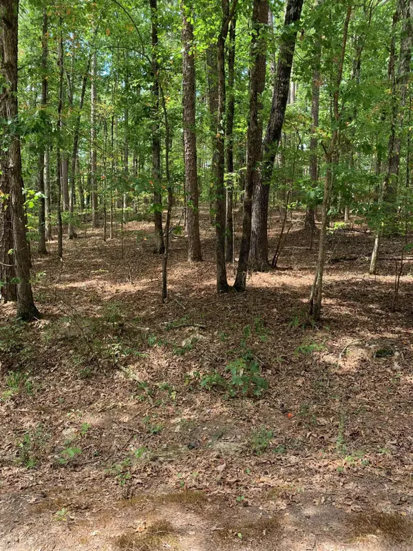 Hot Springs Village, AR 71909,5 Lazo Place