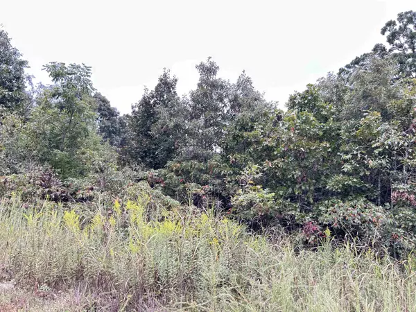 Ash Flat, AR 72513,Lots 3,4,5 Martin Street