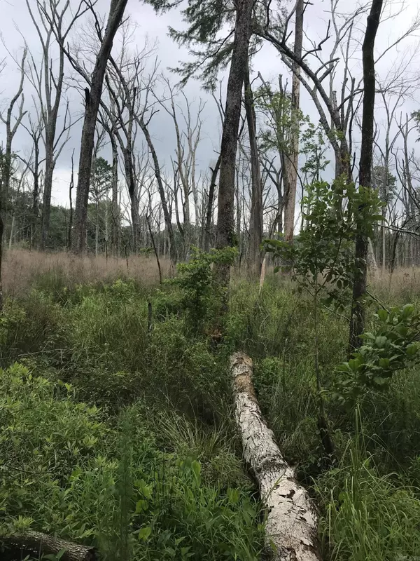 El Dorado, AR 71730,Address not disclosed