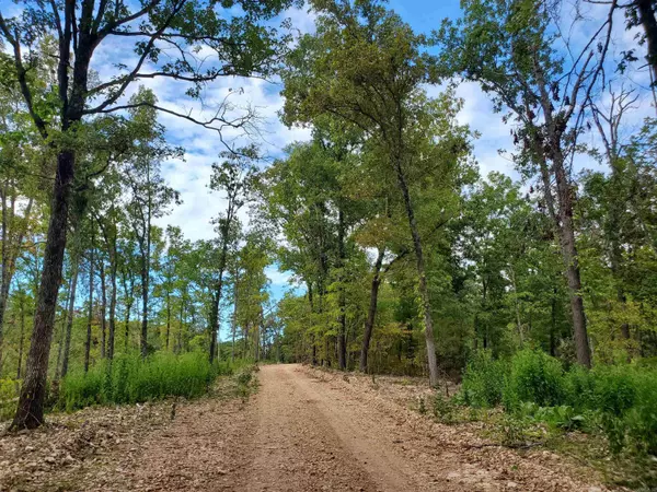 Mountain View, AR 72533,000 Grandpa Jones Road