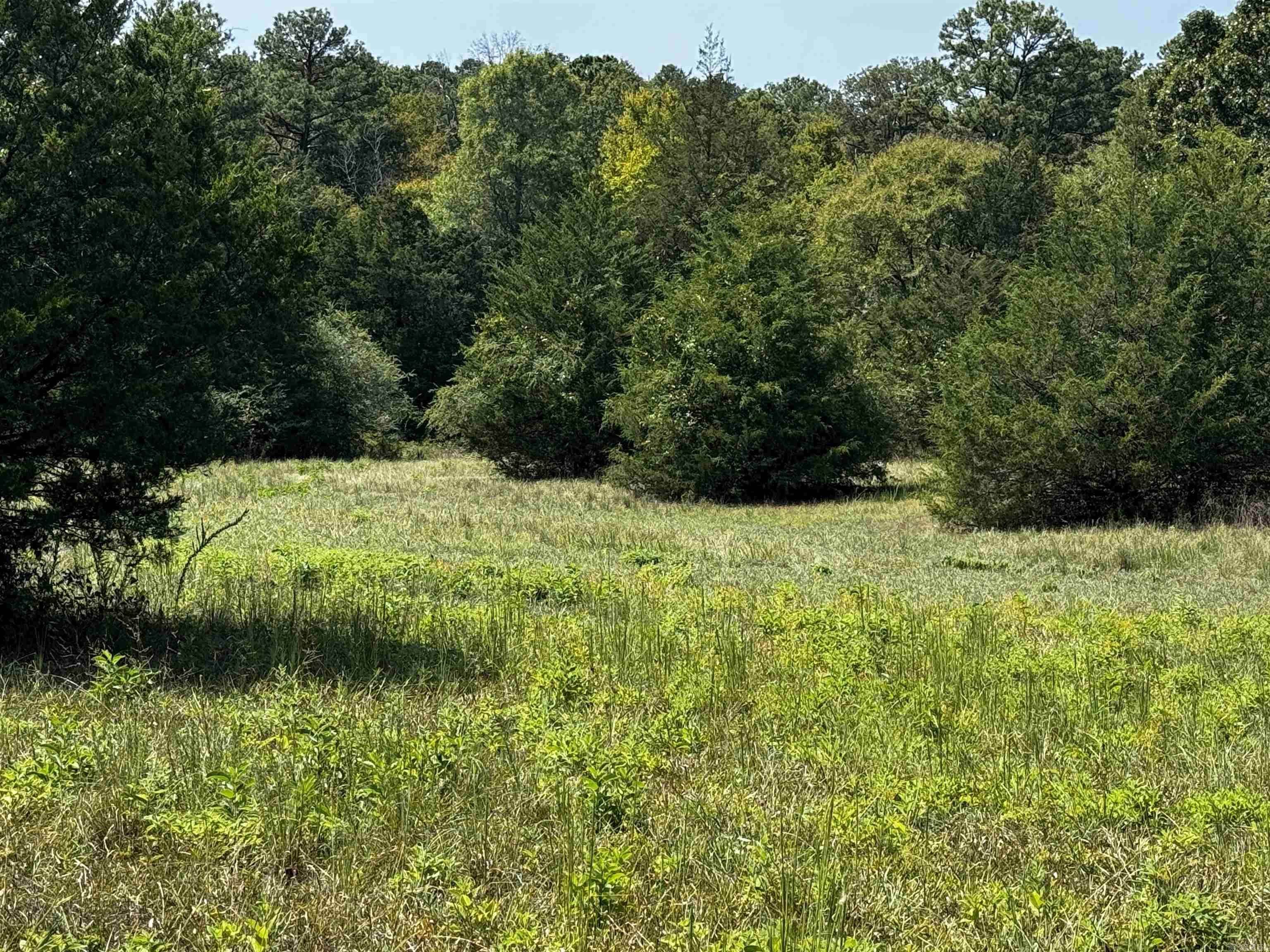 TBD Lynda Lane, Oden, AR 71961