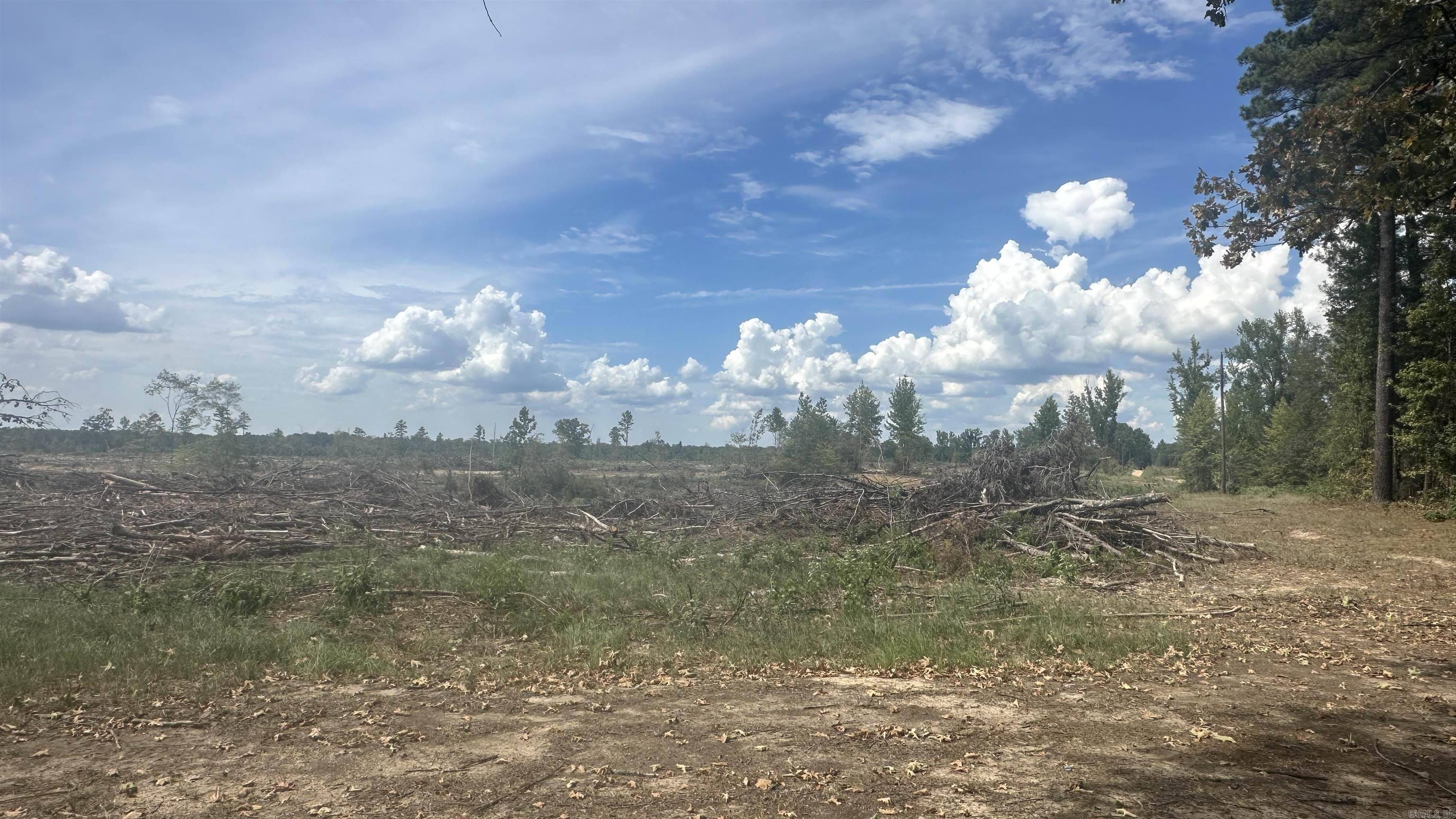 Cornerville, AR 71667,Address not disclosed