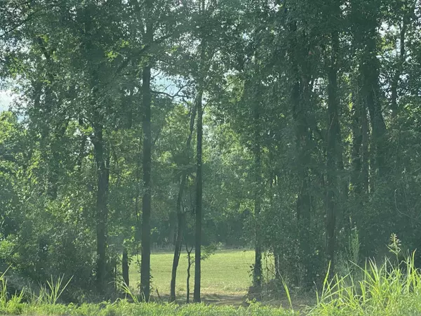Story, AR 71970,Lt 11 Southfork Hwy 27 North Highway