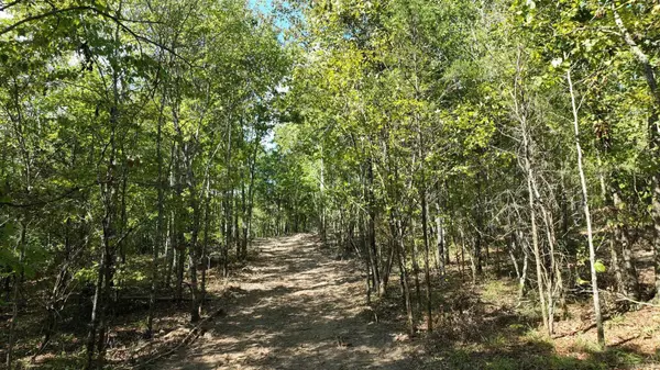 Mena, AR 71953,TBD, Tract 2 Polk Road 158