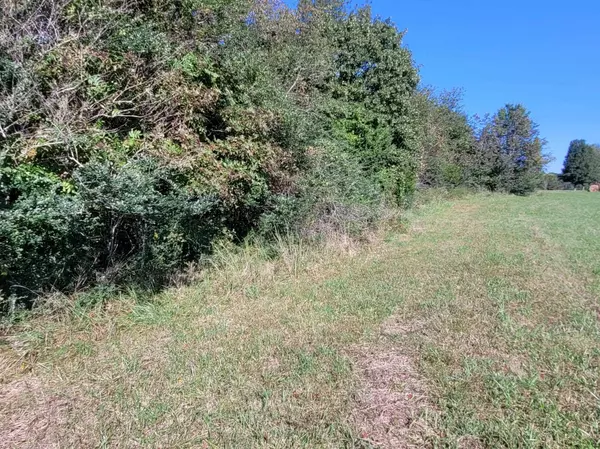 Highland, AR 72542,Lot 12 Liberty Hill Circle