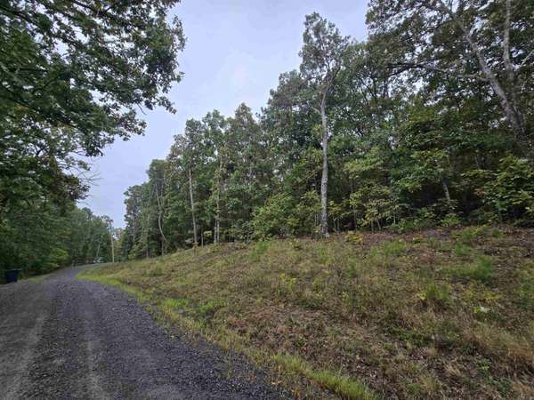 Higden, AR 72067,Lot 417 Jimmerson Rd