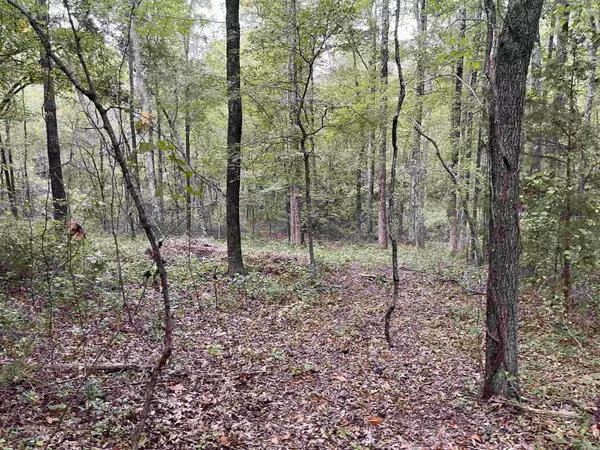 Quitman, AR 72131,444 W Pleasant Springs Road