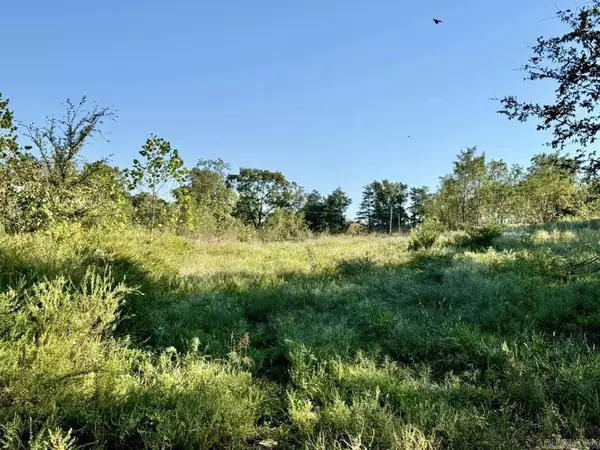 Mountain View, AR 72560,000 Happy Hollow Road