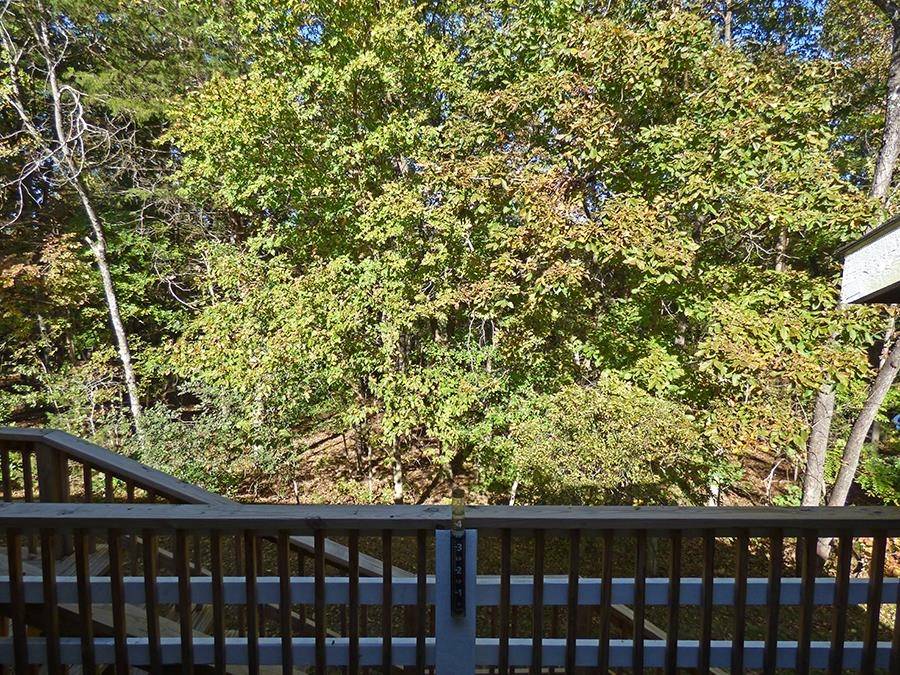 Cherokee Village, AR 72529,28 Spring River Lane