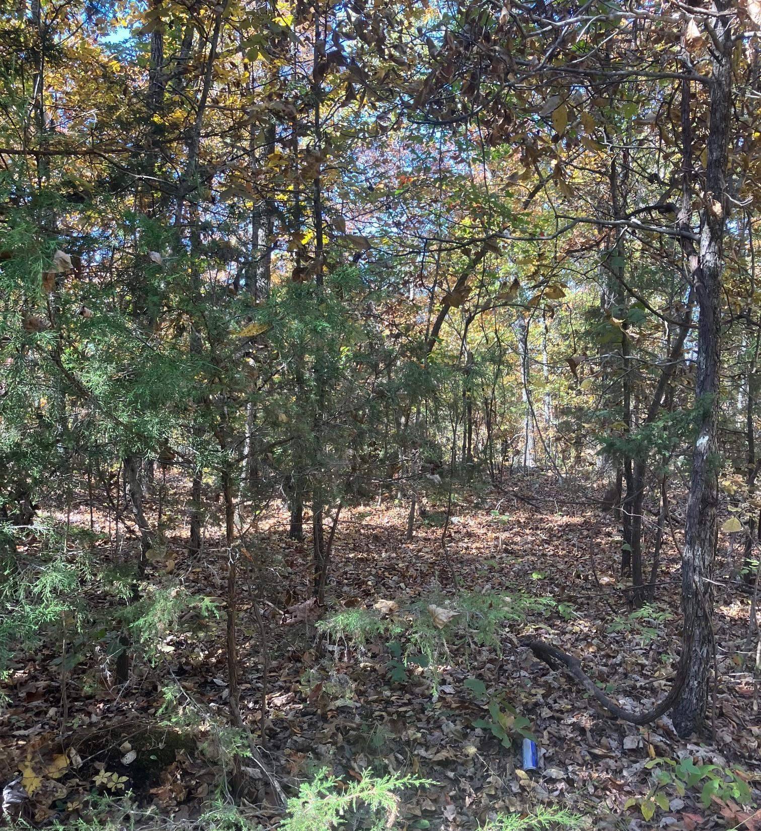 Hardy, AR 72542,TBD Pinecrest Road