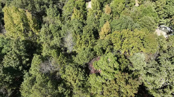 Wickes, AR 71973,TBD Polk Road 257