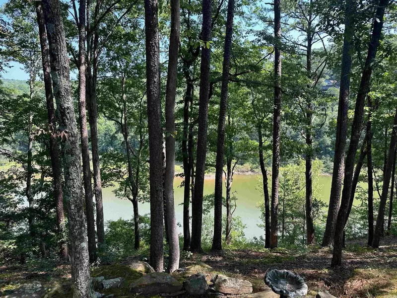 115 Meadowcliff Circle, Fairfield Bay, AR 72088-2821