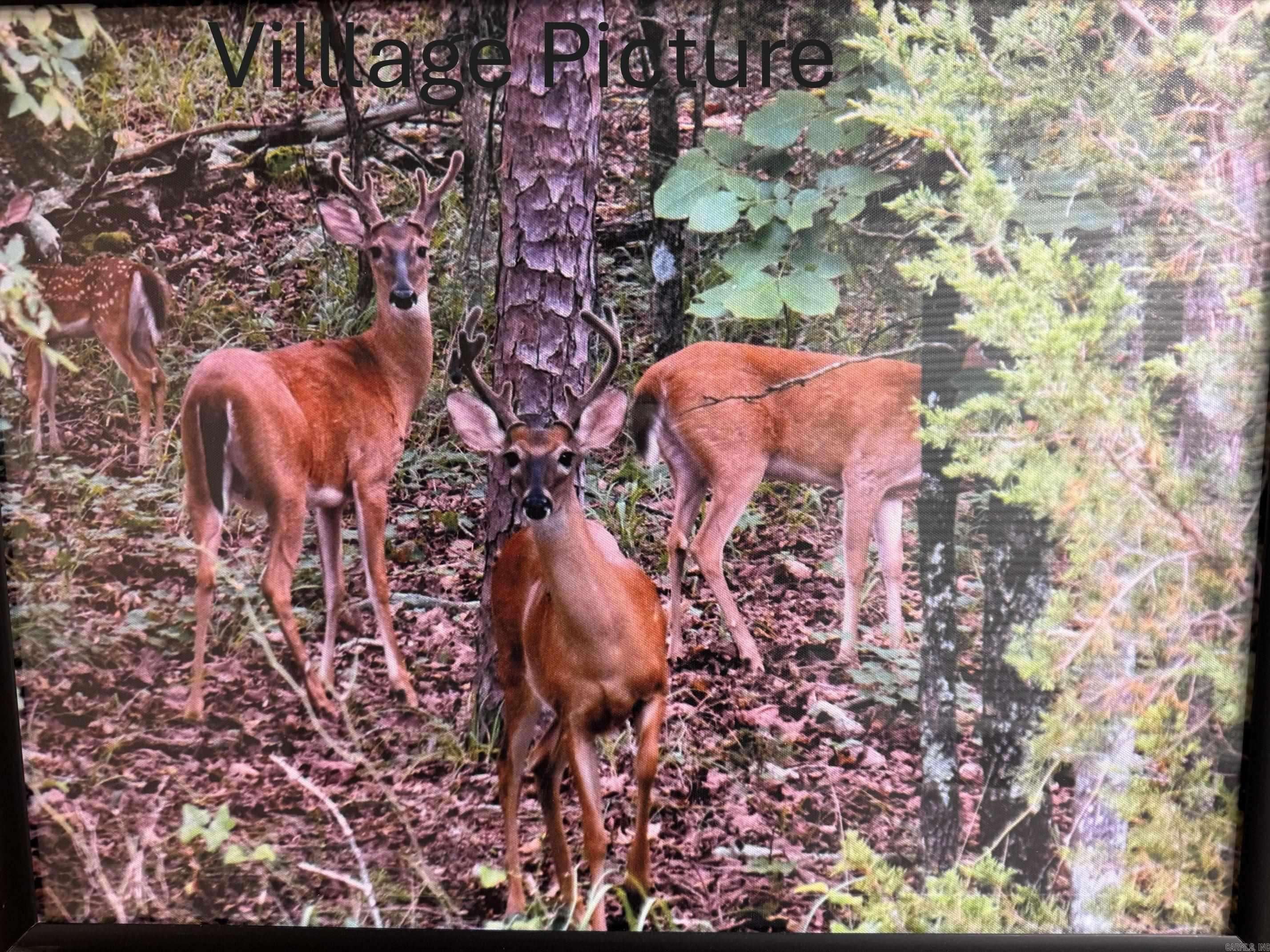 Hot Springs Village, AR 71909,18 VENADO WAY