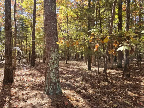 Fairfield Bay, AR 72088,Lot 149 Grenada Circle