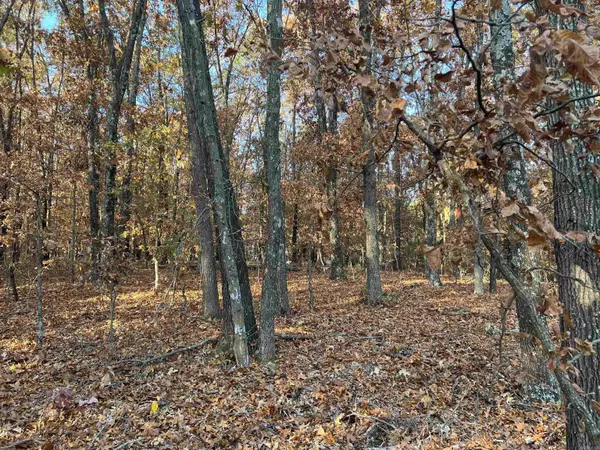 Omaha, AR 72662,37.64 AC Dubuque Road