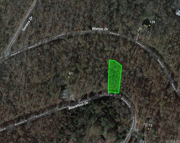 Lot 14 Block 8 Blackfoot Drive, Cherokee Village, AR 72529