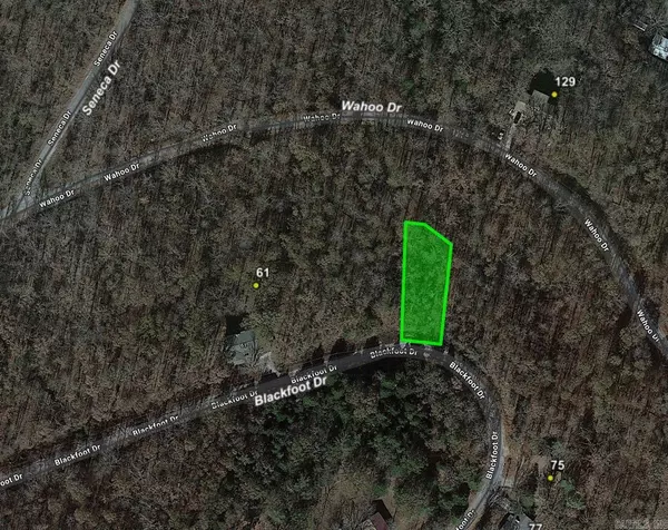 Lot 14 Block 8 Blackfoot Drive, Cherokee Village, AR 72529