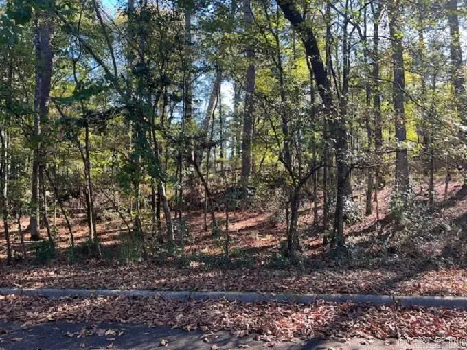 Camden, AR 71701,Lot 12 Mockingbird Lane