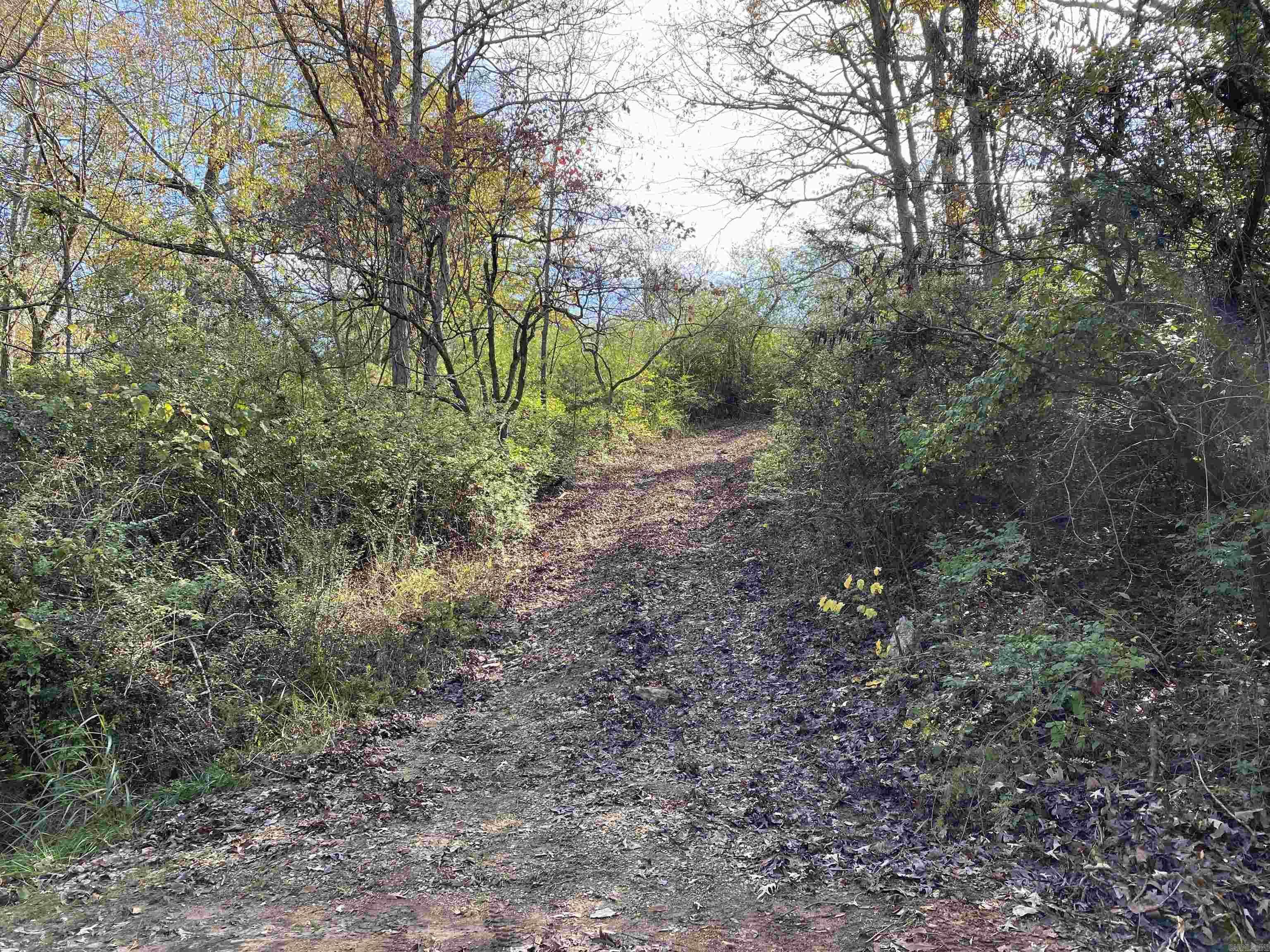 Bull Shoals, AR 72619,760-19585-000 Sandot Drive