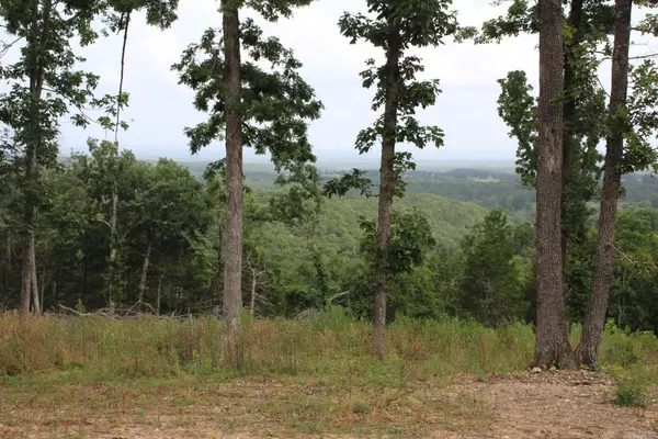 Valley Springs, AR 72682,Tract 6 MC 5039