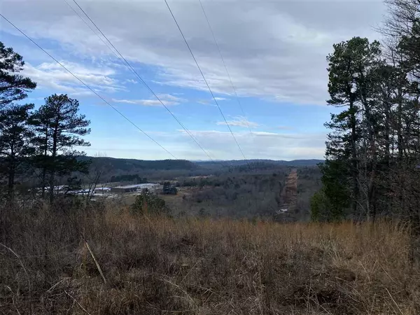 Caddo Gap, AR 71935,000 Caddo Hills Lane