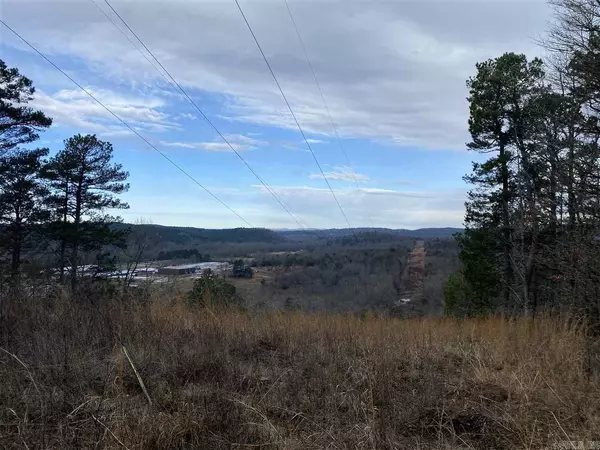 Caddo Gap, AR 71935,000 Caddo Hills Lane