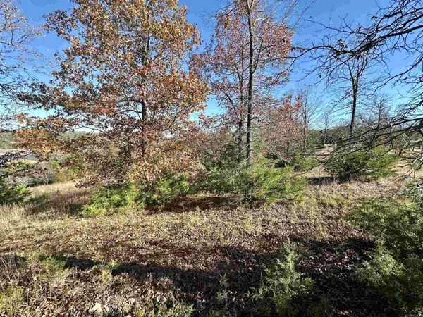 Lot 8 Lakepoint Drive, Mountain Home, AR 72653
