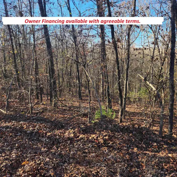 Cherokee Village, AR 72529,L63-64 B-11 Miami Trace