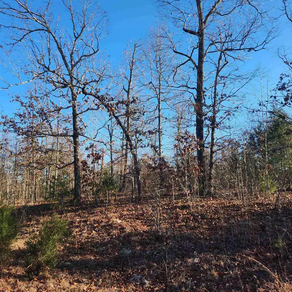 Horseshoe Bend, AR 72512,808 W Forest Hills Circle