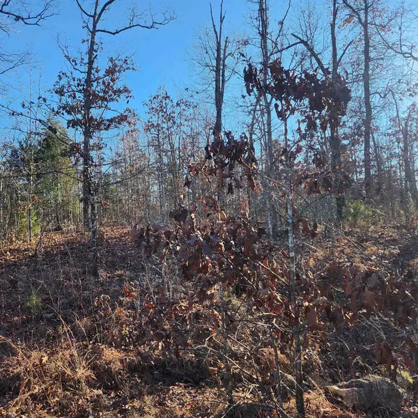 Horseshoe Bend, AR 72512,808 W Forest Hills Circle