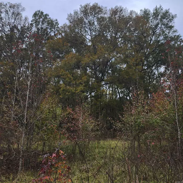 Higginson, AR 72068,204 Caruth