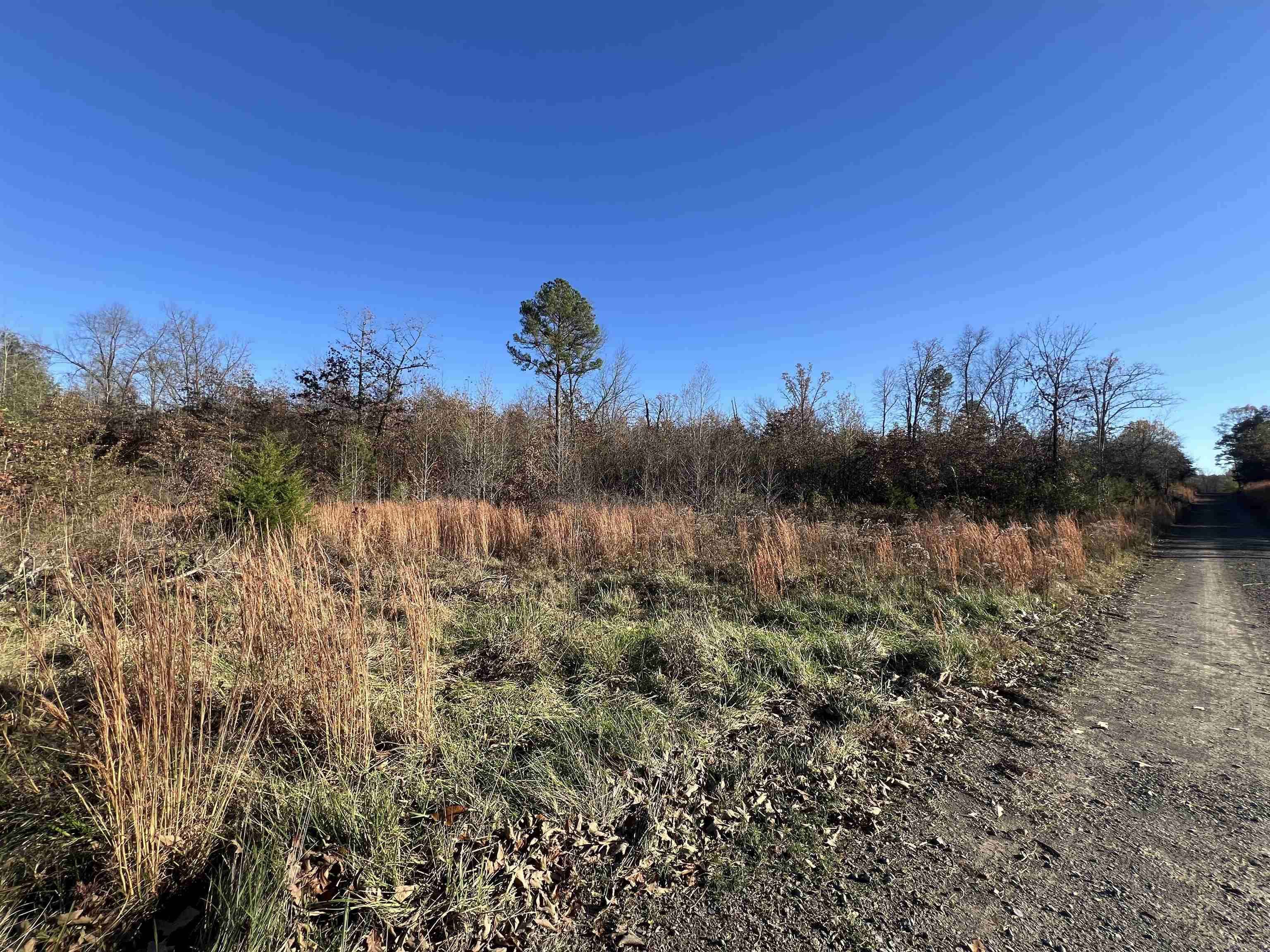 990 Mahan Drive, Center Ridge, AR 72027-8410