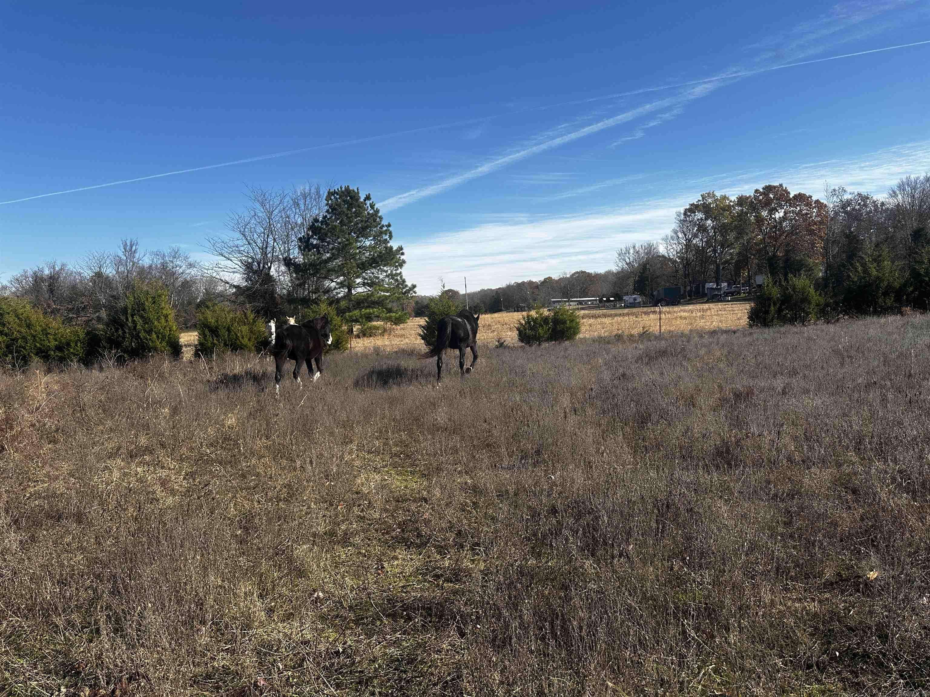 Mayflower, AR 72120,29 Faulkner  Gap Road