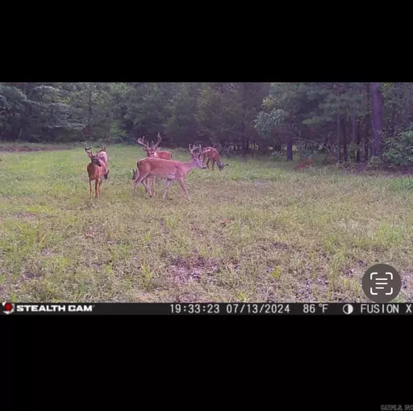 Alco, AR 72680,960 Wildemar Ln.