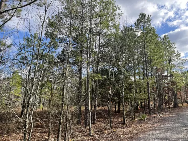 Mena, AR 71953,Lot 80 TBD Red Oak Drive