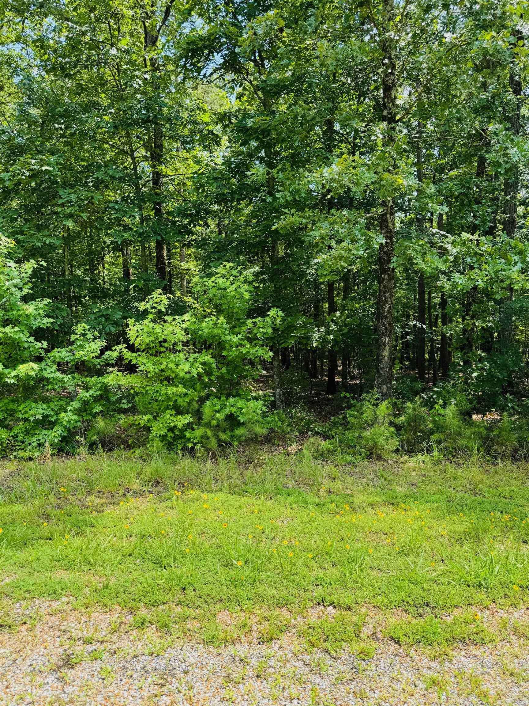 Heber Springs, AR 72543