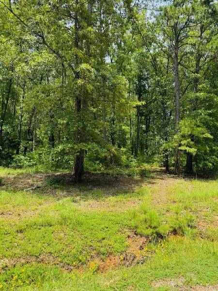 Heber Springs, AR 72543