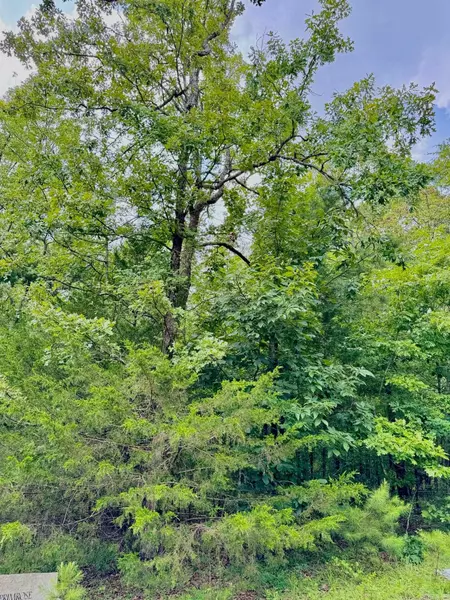 Heber Springs, AR 72543